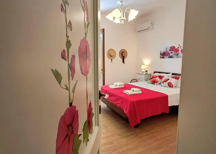 Coco Alguerhouse * 阿尔盖罗